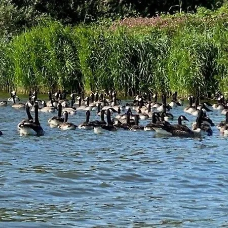 Tami Direkt Am Wasser Mit Eigenem Bootsanlegesteiger *